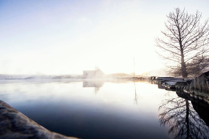 Golden Circle, Secret Lagoon and Kerid Crater Tour from Reykjavik - Thingvellir National Park: parliament and continental plates
