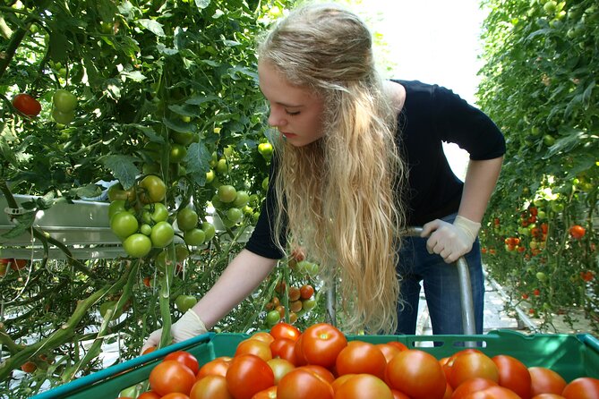 Golden Circle Tales, Tomato Farm & Kerid – Small Group from RVK - Gullfoss, the day’s powerful centerpiece