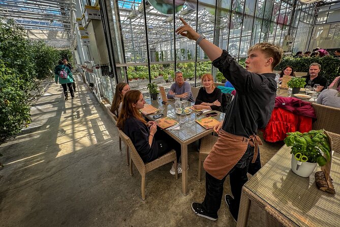 Golden Circle, Tomato Farm Lunch & Sky Lagoon - with photos - Why this tour works well in Iceland