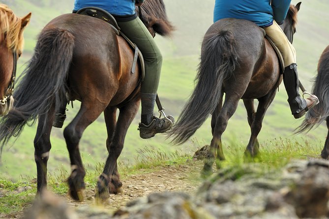 Golden Circle & Viking Horse Experience - Why this combination works for a first Iceland trip