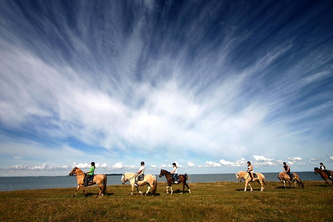 Golden Circle & Viking Horse Experience - Gullfoss, Iceland’s powerful waterfall