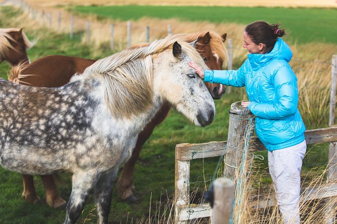 Golden Circle & Viking Horse Experience - How much guiding will you actually receive?