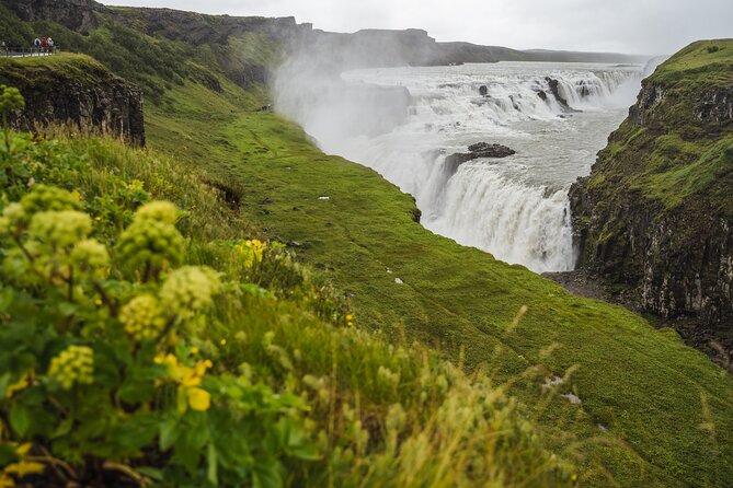 Golden Circle with Kerid Crater & Local Farm Visit in Small Group - Friðheimar: tomatoes in an Icelandic greenhouse