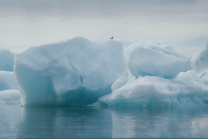 Guided Glacier Lagoon and Diamond Beach Day Trip from Reykjavik - Diamond Beach puts ice on black sand