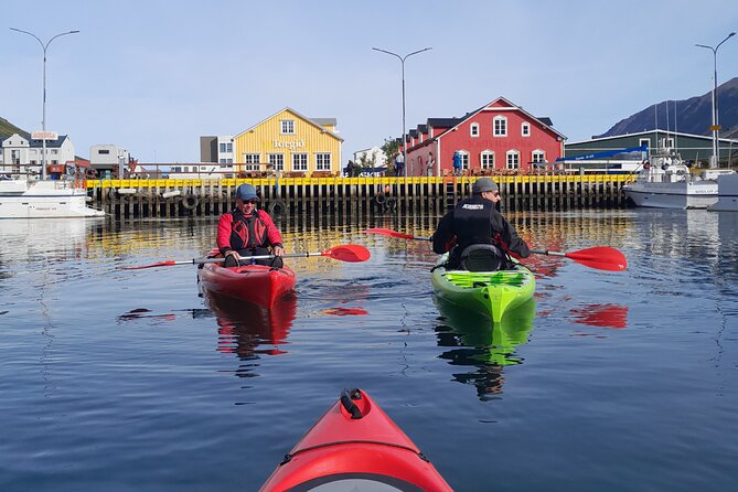 Guided kayak tour in Siglufjörður / Siglufjordur. - Key points about kayaking in Siglufjörður
