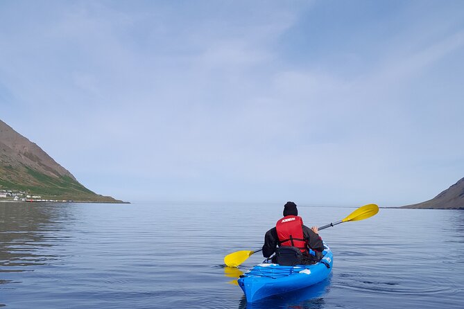 Guided kayak tour in Siglufjörður / Siglufjordur. - Following the guide around the fjord