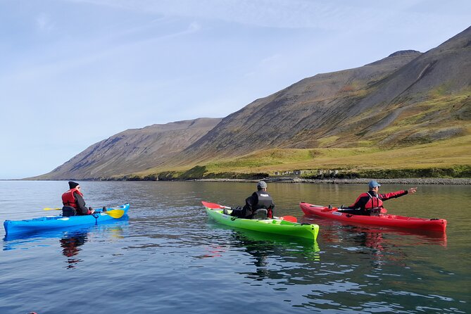 Guided kayak tour in Siglufjörður / Siglufjordur. - Weather, cancellations, and what to bring