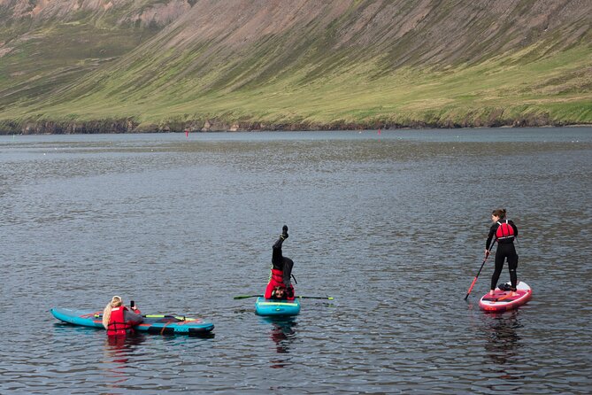 Guided SUP tour in Siglufjörður / Siglufjordur. - A gentle pace, with room to choose your comfort level
