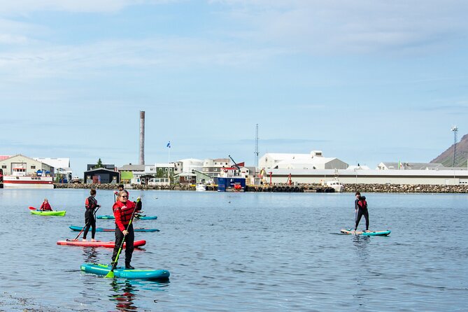Guided SUP tour in Siglufjörður / Siglufjordur. - Who should book this experience