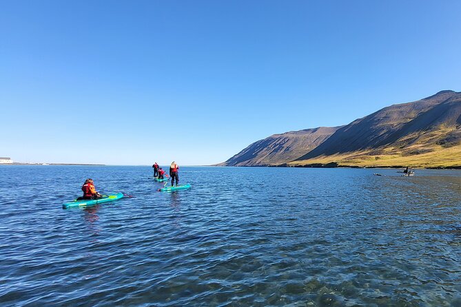 Guided SUP tour in Siglufjörður / Siglufjordur. - Getting started at Siglo Sea Headquarters