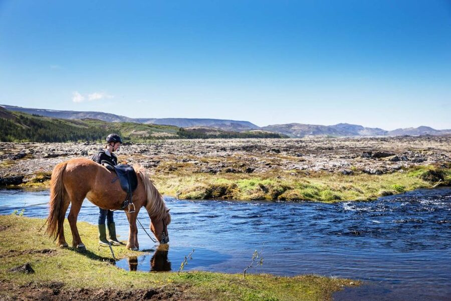 Hafnarfjörður: Horseback Riding Tour in Reykjavik Area - Key points before you book
