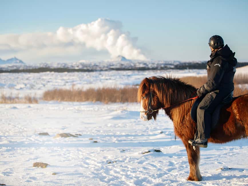 Hafnarfjörður: Horseback Riding Tour in Reykjavik Area - Should you book the Íshestar ride?