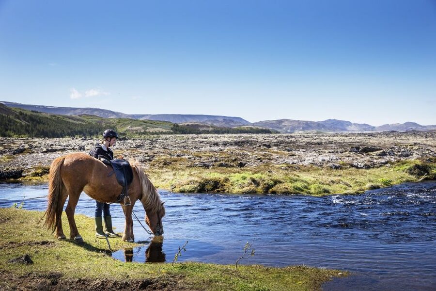 Hafnarfjörður: Horseback Riding Tour in Reykjavik Area - Riding the lava fields for 50 minutes
