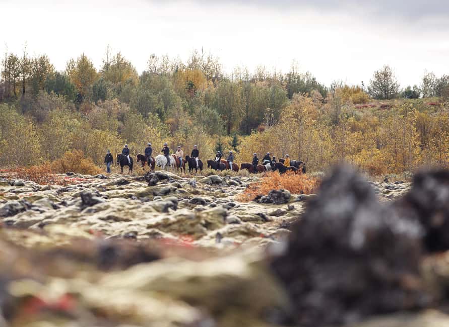 Hafnarfjörður: Horseback Riding Tour in Reykjavik Area - Is $132 a fair price for 50 minutes?