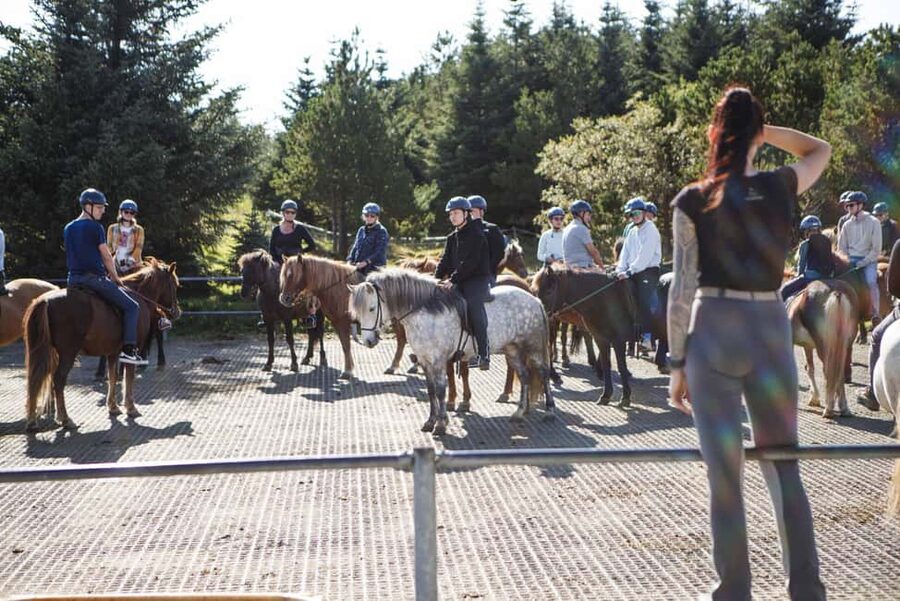Hafnarfjörður: Horseback Riding Tour in Reykjavik Area - Who will enjoy this ride most?