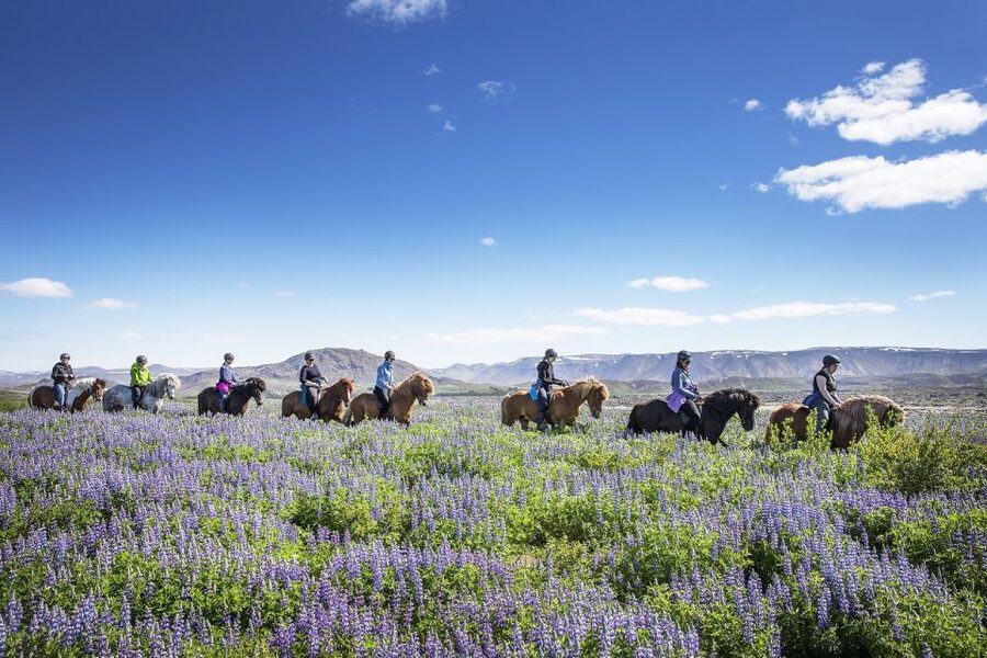 Hafnarfjörður: Horseback Riding Tour in Reykjavik Area - Getting ready at Íshestar