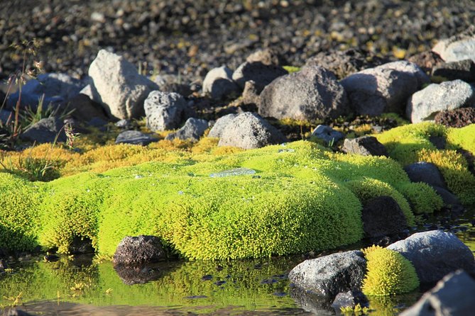 Highlights of Iceland / private guided super Jeep tour - Reykholt and the world of Snorri Sturluson