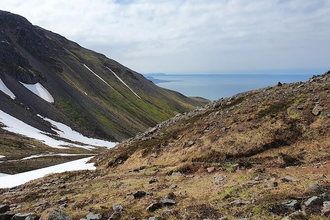 Hiking Tours in Troll peninsula - What the $138.91 price includes