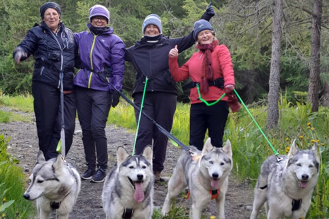 Hiking with Husky in Akureyri - Key details before you book