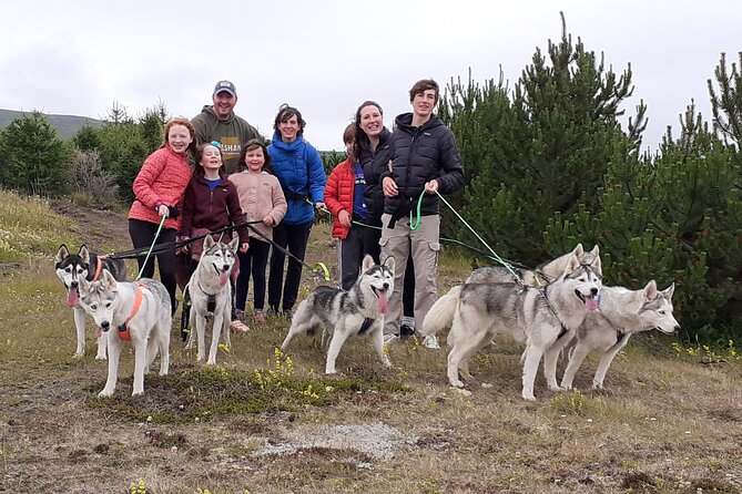 Hiking with Husky in Akureyri - Arriving at the goHusky home outside Akureyri