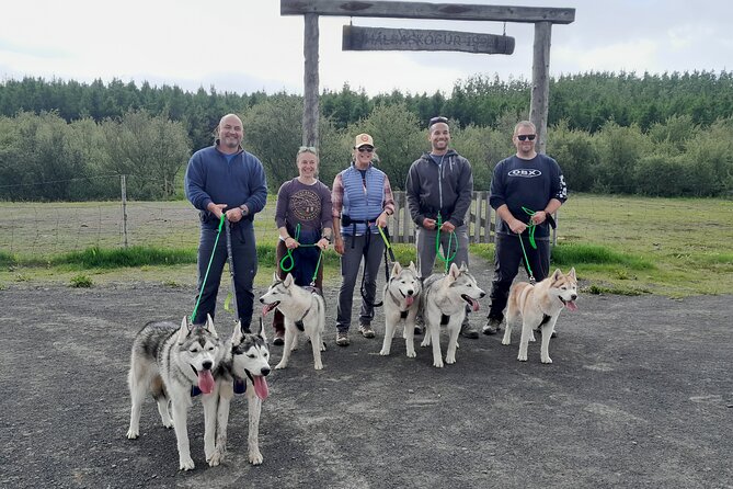 Hiking with Husky in Akureyri - Meeting the dogs before the trail