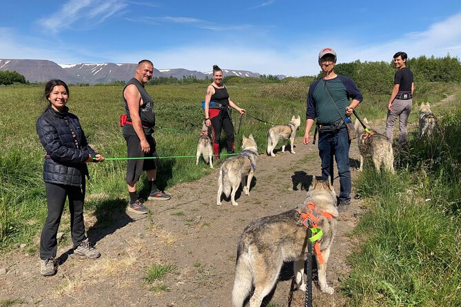 Hiking with Husky in Akureyri - The hike: short in distance, active in effort