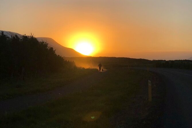 Hiking with Husky in Akureyri - After the walk, see how the pack lives