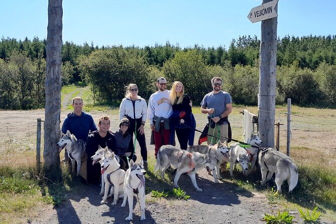 Hiking with Husky in Akureyri (private) - Walking through woodland and countryside