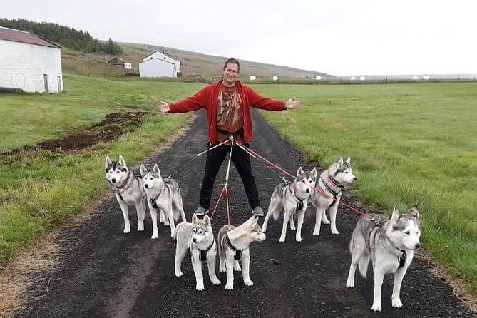 Hiking with Husky in Akureyri (private) - What the private price really buys you