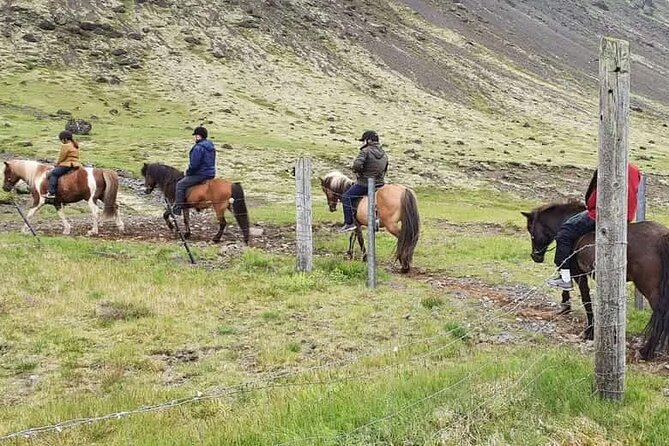 Horse Riding Tour in Reykjadalur (Smoky Valley)-All Riding Levels - Meeting the Icelandic horses near Hveragerði
