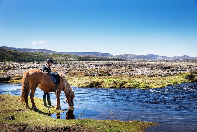 Horseback Riding Tour in Iceland - Key Points Before You Book