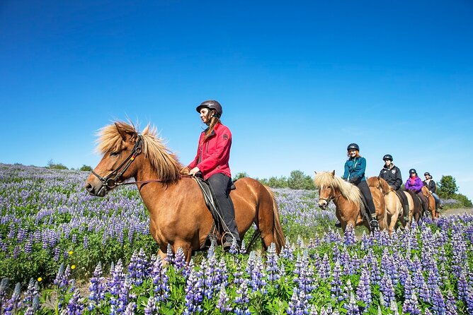Horseback Riding Tour in Iceland - Across Moss-Covered Lava Fields