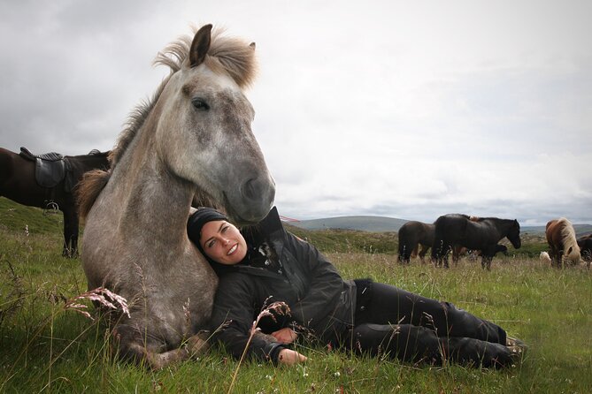 Horseback Riding Tour in Iceland - Is $135.16 a Fair Price?