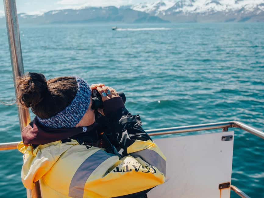 Húsavík: Family-Run and Guided Whale Watching Tour - Is $84 a fair price?