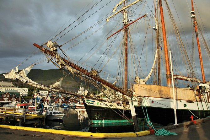 Húsavík walking tour - Meeting at Garðarsbraut 5 in Húsavík