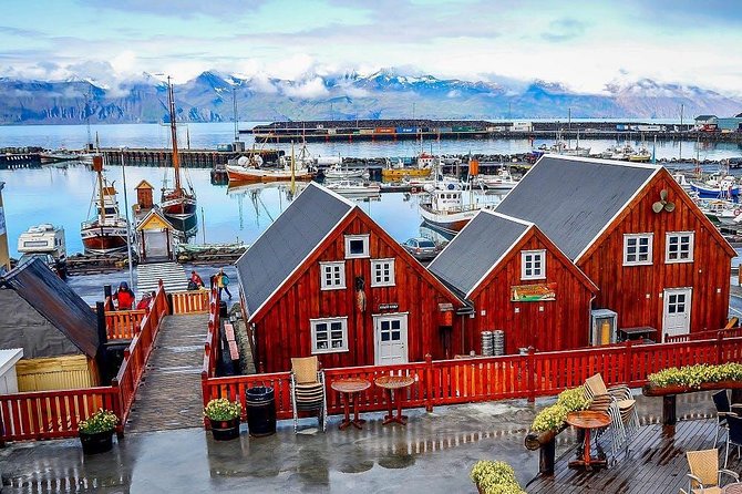 Húsavík walking tour - Who should book this Húsavík experience?