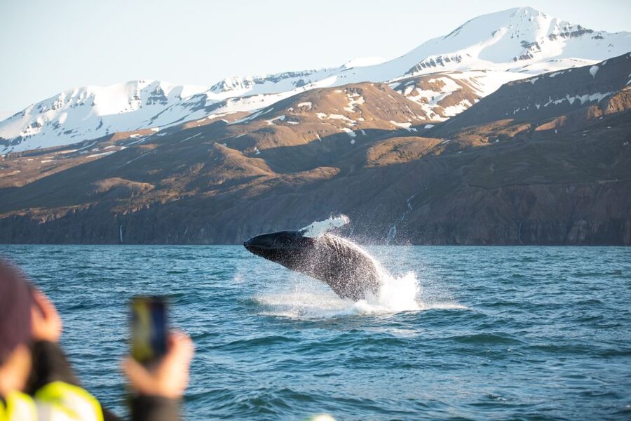 Husavik: Whale Watching on a Carbon Neutral Oak Boat - Keeping warm on Skjálfandi Bay