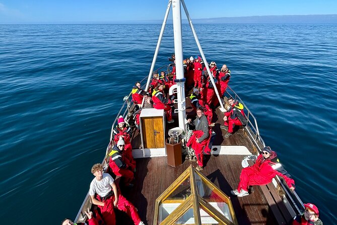 Húsavík Whale Watching Tour, family owned and operated - Cold water, rolling seas, and the right clothing