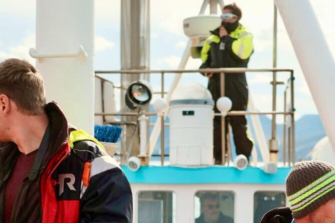 Húsavík Whale Watching Tour, family owned and operated - Is $102.84 good value?