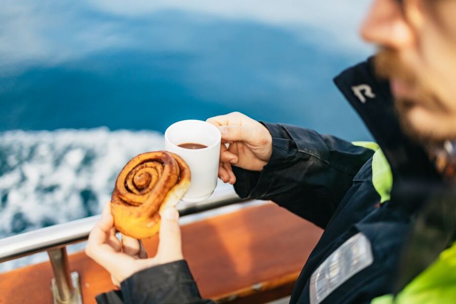 Húsavík: Whale Watching Tour with Guide - Humpbacks, minke whales, and the thrill of a surface