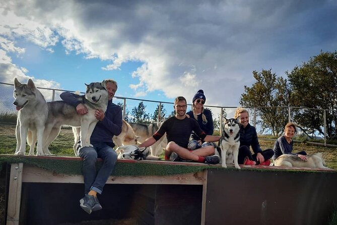 Husky Petting in Akureyri (private) - Meeting the Huskies Outside Akureyri