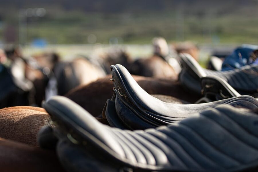Hveragerdi: Countryside Charm Horse Riding Tour - Quick points about the Hveragerdi horse ride