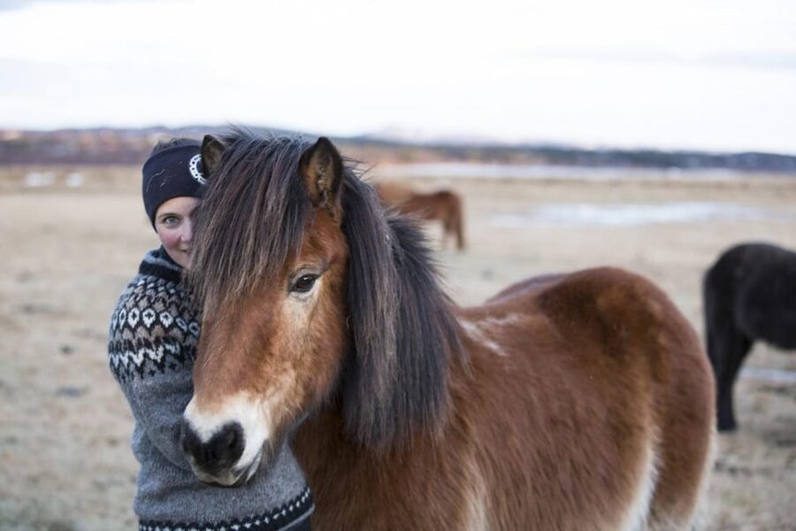 Hveragerdi: Countryside Charm Horse Riding Tour - Should you book the Vellir horse ride?