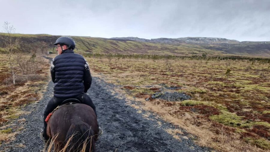 Hveragerði: Horseback Riding Tour for Beginners and … - Meeting the Icelandic Horses at Sólhestar