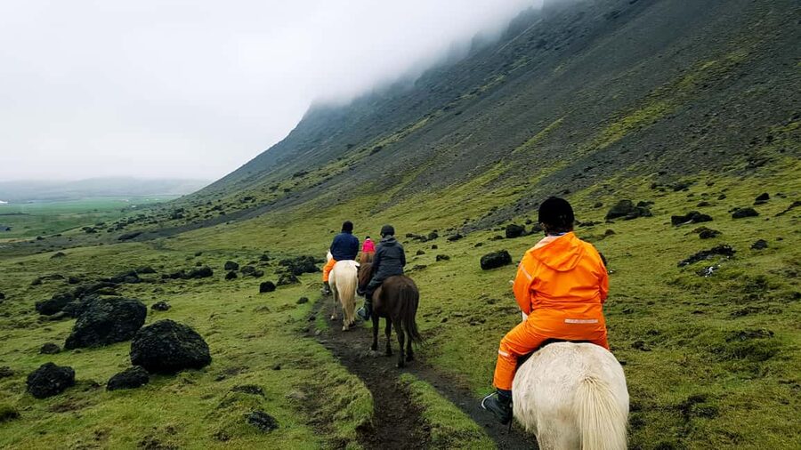 Hveragerði: Horseback Riding Tour for Beginners and … - Morning or Afternoon: Choosing Your Slot