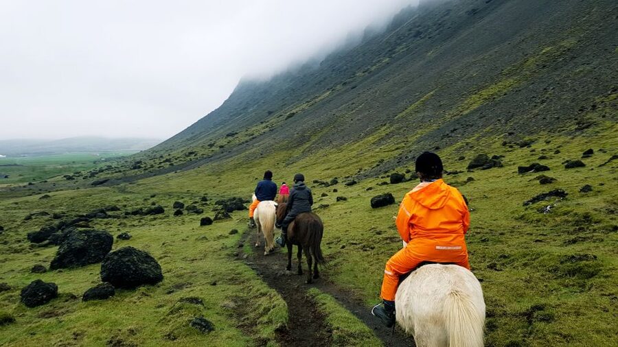 Hveragerdi: Reykjadalur (Hotspring Valley) Horse Riding Tour - Arriving at the Hveragerdi stable
