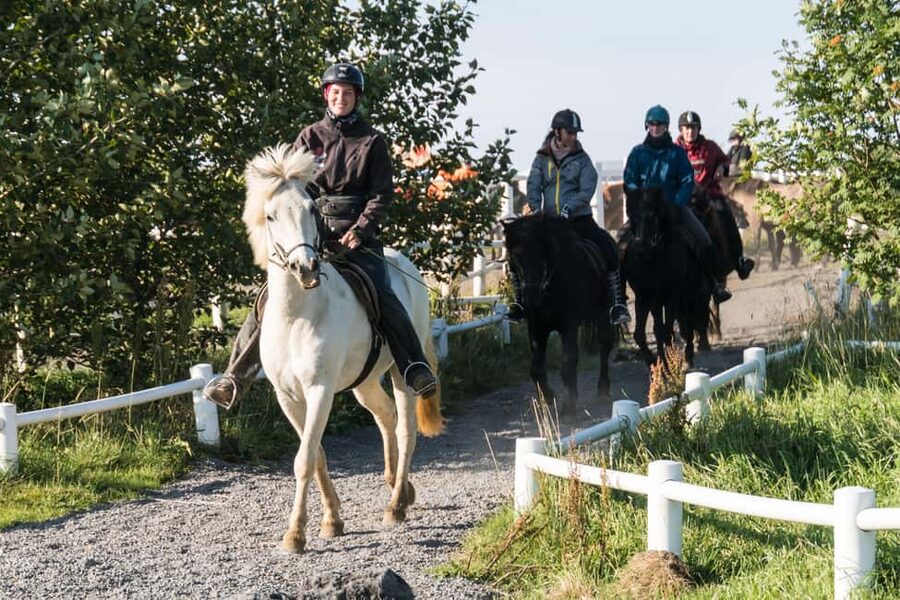 Hveragerdi: The Siggi Horse Riding Tour - Key points to know before booking