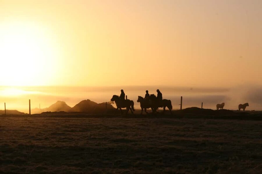 Hveragerdi: The Siggi Horse Riding Tour - Why this countryside ride is worth your time