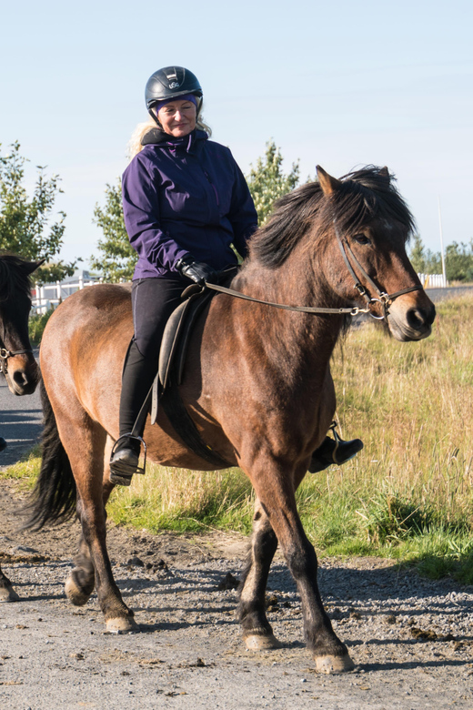 Hveragerdi: The Siggi Horse Riding Tour - Crossing the Varmá River and entering the lava fields