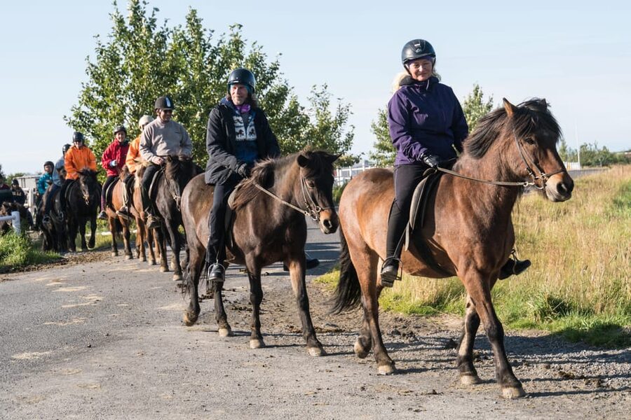 Hveragerdi: The Siggi Horse Riding Tour - Meadows, farms, and volcanic mountain views